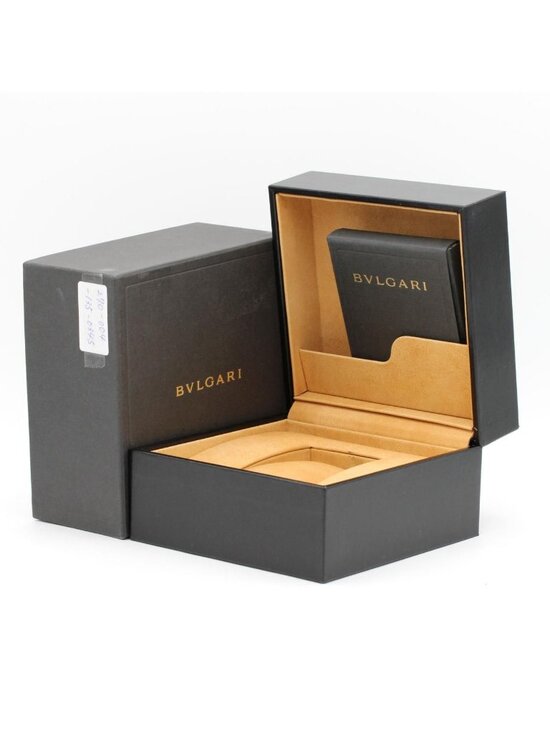 Bvlgari SS Automatic Watch